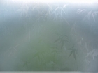 Frosted Glass