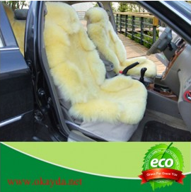 Seat Cover