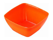 Plastic Bowl