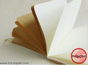 Envelope Kraft Paper