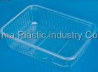 Plastic Box