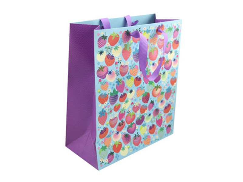 Gift Bag