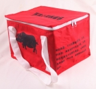 Cooler bag