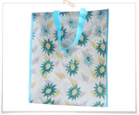 Non woven bag