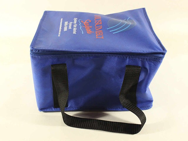 Cooler bag