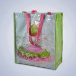 Shopping Bag