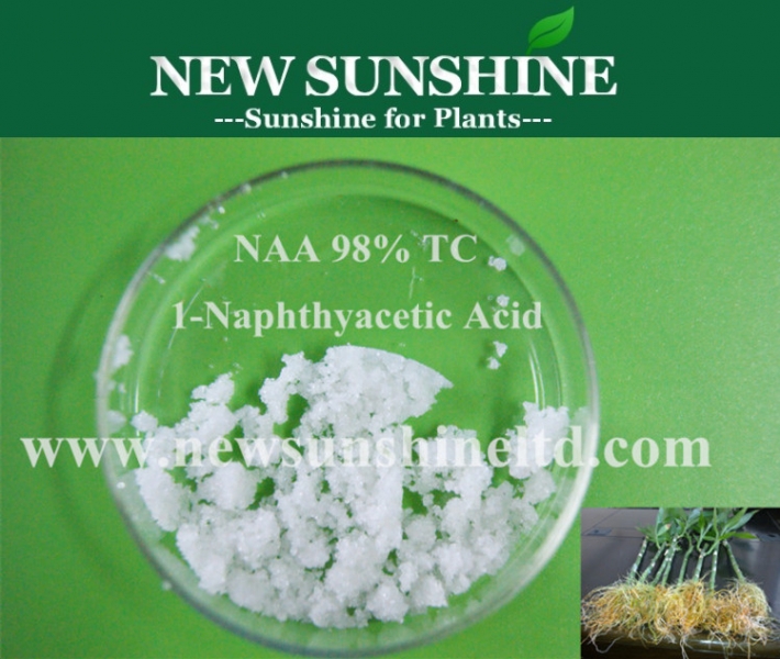 1-naphthylacetic acid