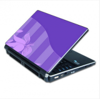 Laptop Skin   002