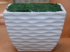 Flower Pot