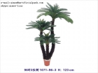 Artificial Sago Cycas