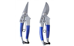 Pruning Shear