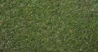 Artificial Turf