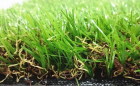 Artificial Turf