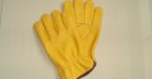Household Gloves