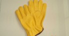 Household Gloves