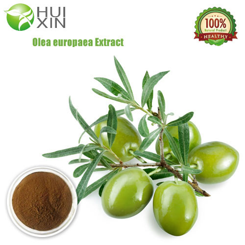 Olive Leaf Extract