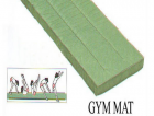 Gym mat