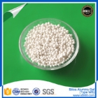 Silica Alumina Gel(Type WS)