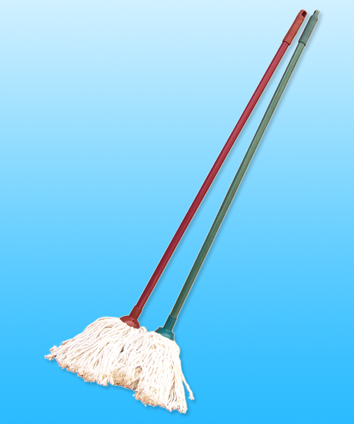 Water mop