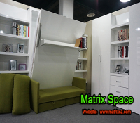 Wall Bed With Bookshelf & Sofa