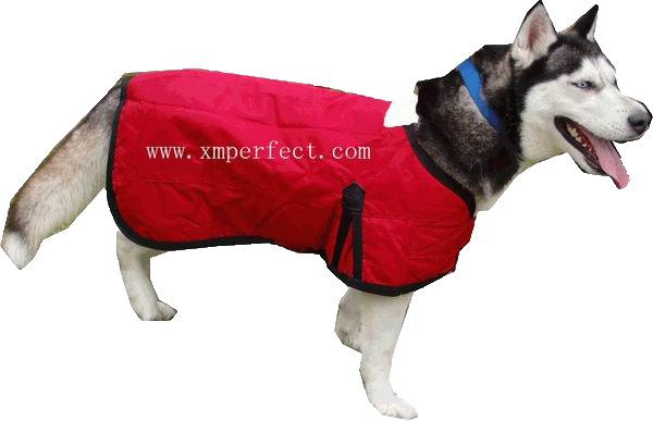 Pet Apparel