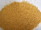 Yellow millet