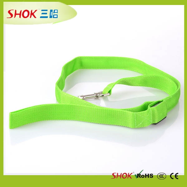 LED Pet Leash