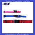 Pet Collar