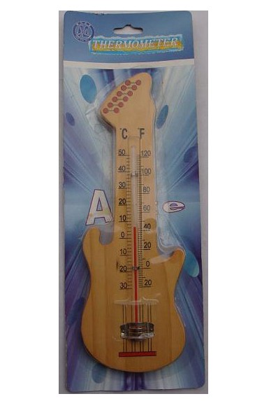 Household Thermometers