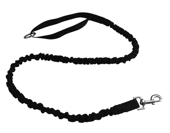 Pet leash