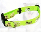 Pet Collar