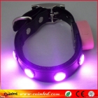 LED Pet Collar