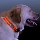 LED Pet Collar