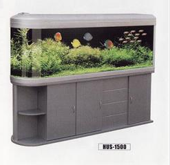 Aquarium Tank