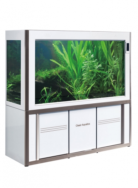 Aquarium Tank