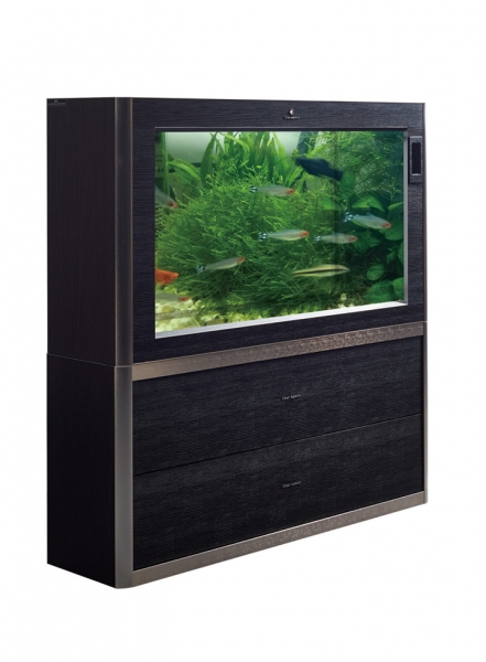 Aquarium Tank