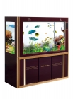 Aquarium Tank