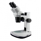 Dual Power Stereo Microscopes