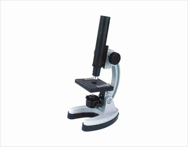 Binocular microscope