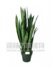 Artificial Plant