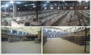 Chaozhou Chaoan Changie Ceramic Factory