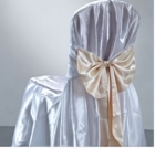 Chair Cover