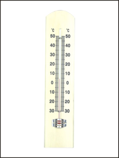 Household Thermometers