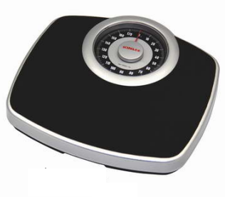 Bathroom scale