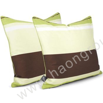 Cushion