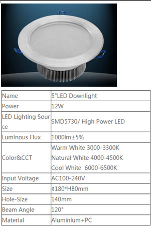 LED DownLighters