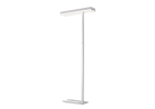 LED Floor Lamp