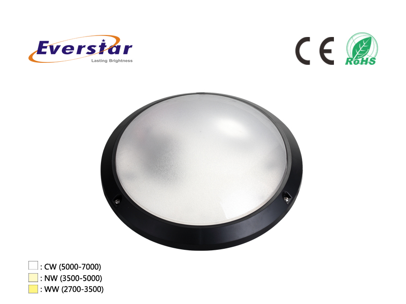 LED Ceiling Lamps