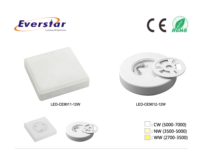 LED Ceiling Lamps