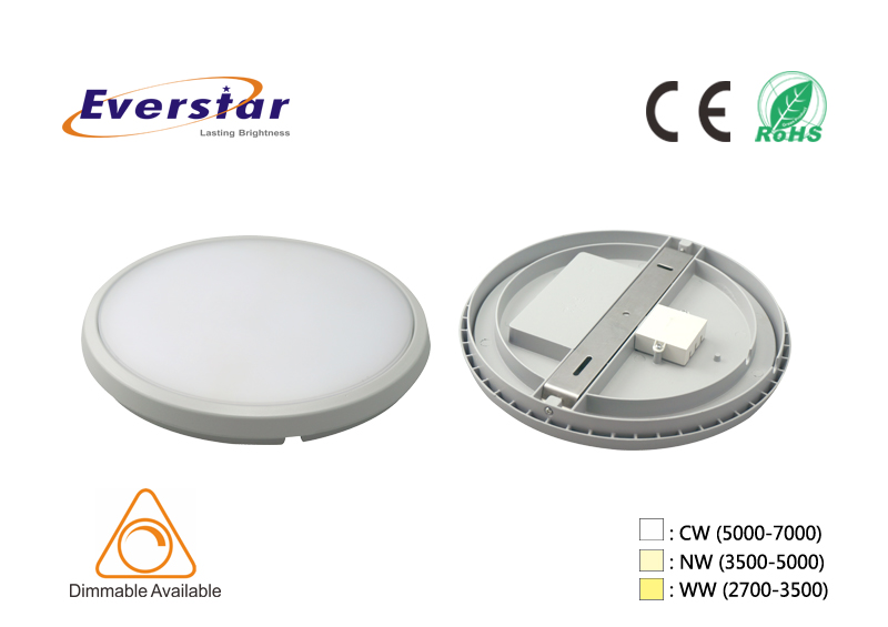 LED Ceiling Lamps